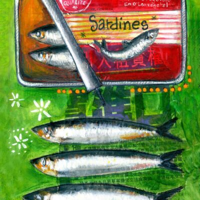 Sardines