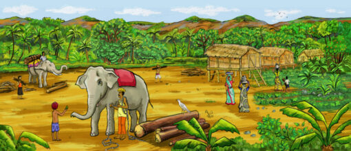 Histoires vraies Suresh le cornac