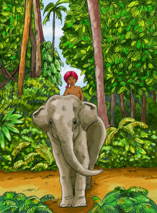 Histoires vraies Suresh le cornac
